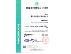 重庆羞羞视频免费观看入口设计